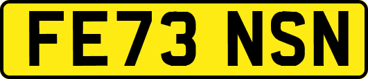 FE73NSN