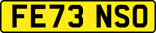 FE73NSO