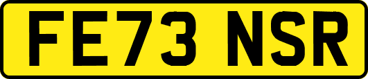 FE73NSR