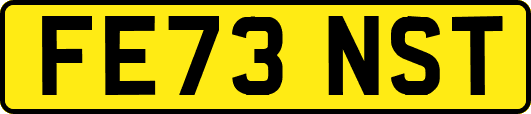 FE73NST