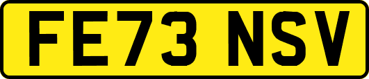 FE73NSV