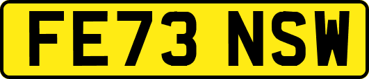 FE73NSW