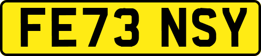 FE73NSY