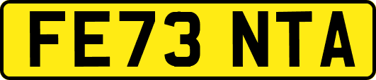 FE73NTA
