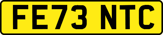 FE73NTC