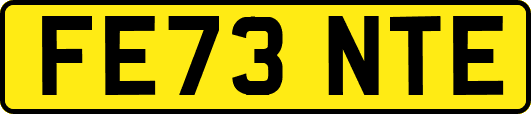 FE73NTE