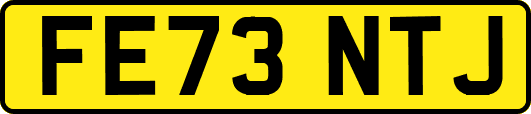 FE73NTJ