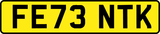 FE73NTK