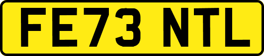 FE73NTL