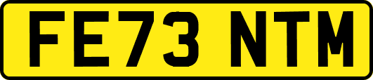FE73NTM
