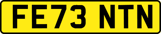 FE73NTN