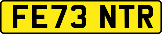 FE73NTR