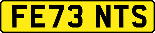 FE73NTS