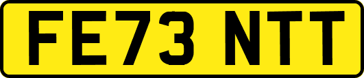FE73NTT
