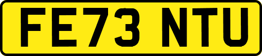 FE73NTU