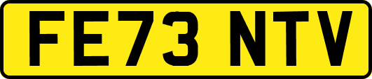 FE73NTV