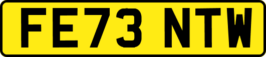 FE73NTW
