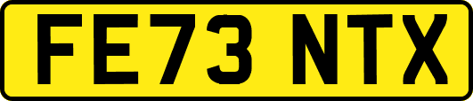 FE73NTX