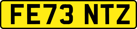 FE73NTZ