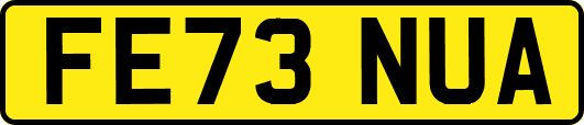 FE73NUA