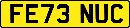 FE73NUC