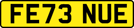 FE73NUE