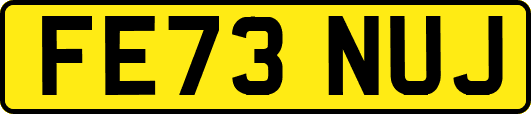 FE73NUJ
