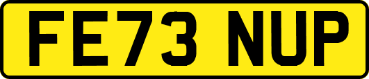 FE73NUP
