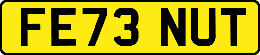 FE73NUT