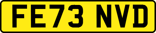 FE73NVD