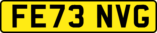 FE73NVG
