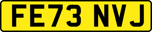 FE73NVJ