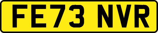 FE73NVR