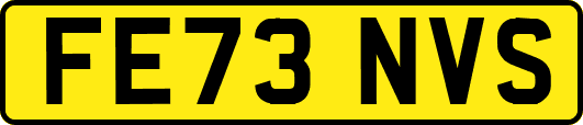 FE73NVS