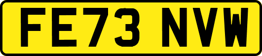FE73NVW