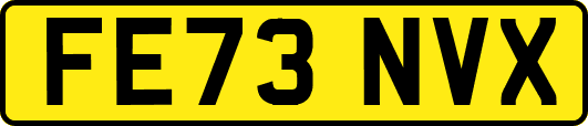 FE73NVX
