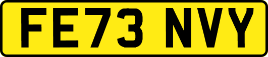 FE73NVY