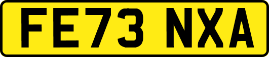 FE73NXA