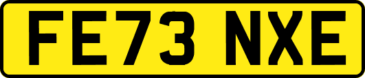 FE73NXE