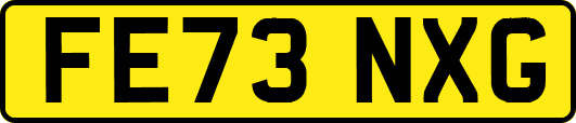 FE73NXG