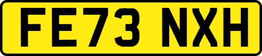 FE73NXH