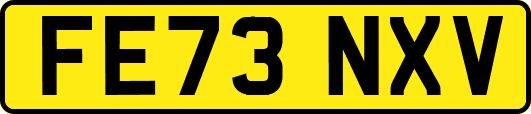 FE73NXV
