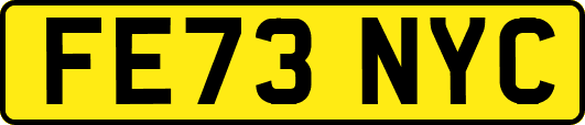 FE73NYC