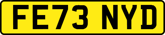 FE73NYD