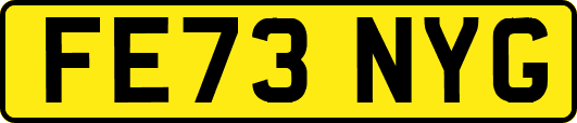 FE73NYG