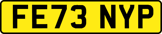 FE73NYP