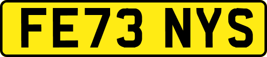 FE73NYS
