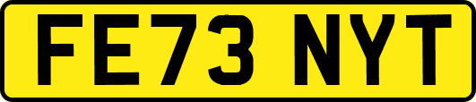 FE73NYT