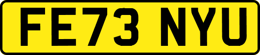 FE73NYU