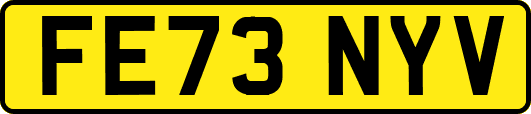 FE73NYV